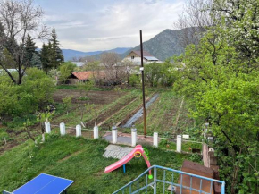 Cozy summer house in the heart of Armenia, Odzun